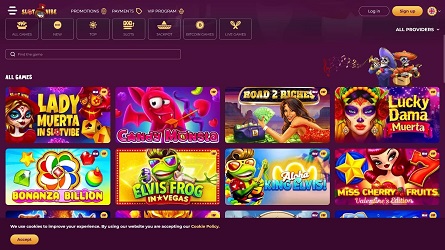 Meet our new Partner Slotvibe Casino