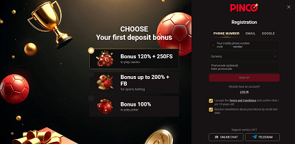Pinco Casino website
