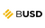 BUSD Binance USD payment method